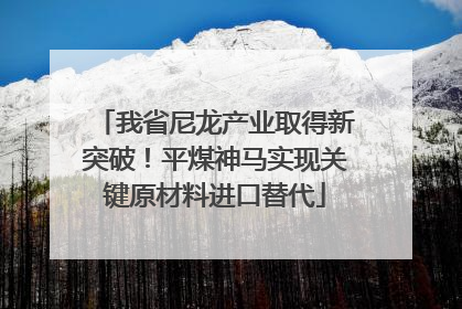 我省尼龙产业取得新突破！平煤神马实现关键原材料进口替代